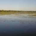 South Alligator open wetland