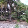 Mt Isa - Outback Park